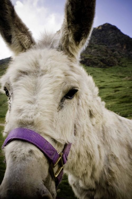 Fotografia de Xuan - Galeria Fotografica: Naturaleza - Foto: 