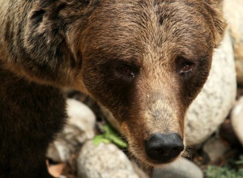 Fotografia de Lawra Vidal - Galeria Fotografica: Foto Denuncia - Foto: 