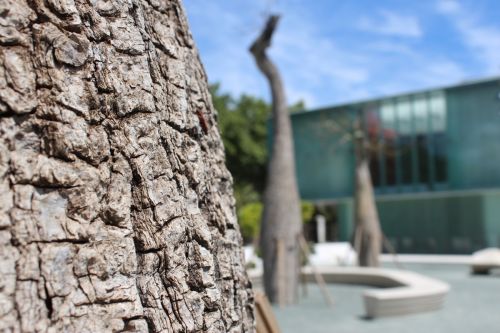 Fotografia de Gianluca Jacquier - Galeria Fotografica: Mlaga - Foto: 