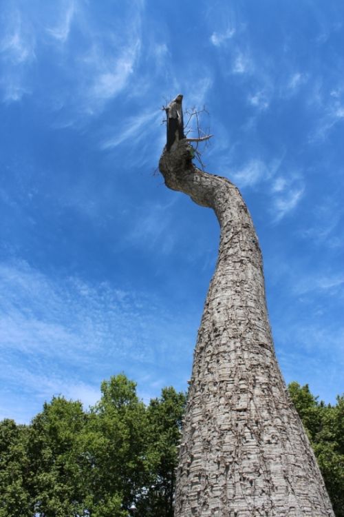 Fotografia de Gianluca Jacquier - Galeria Fotografica: Mlaga - Foto: 