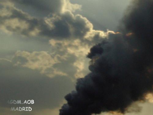 Fotografia de Oliva - Galeria Fotografica: Seis pares - Foto: Malos humos 1