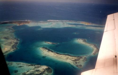 Fotografia de Oliva - Galeria Fotografica: Seis pares - Foto: Aereas 2