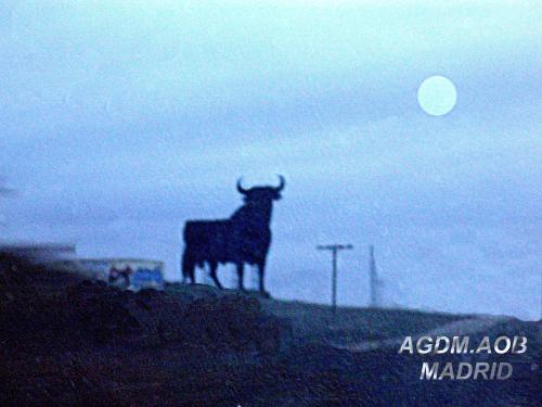 Fotografia de Oliva - Galeria Fotografica: Seis pares - Foto: Silueta 2 (ese toro)