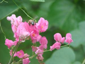 Fotografia de logistik@ - Galeria Fotografica: PASA TIEMPO - Foto: 
