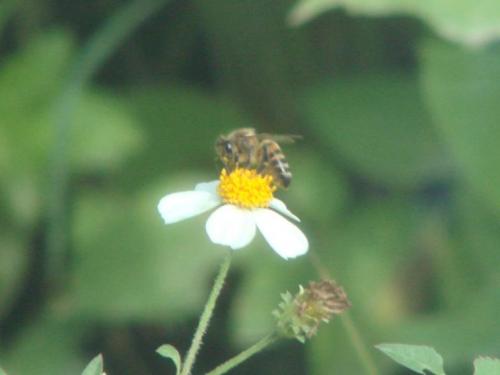 Fotografia de logistik@ - Galeria Fotografica: PASA TIEMPO - Foto: QUE PENA