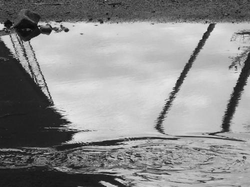 Fotografia de elga - Galeria Fotografica: VARIOS EN BLANCO Y NEGRO - Foto: ONDAS