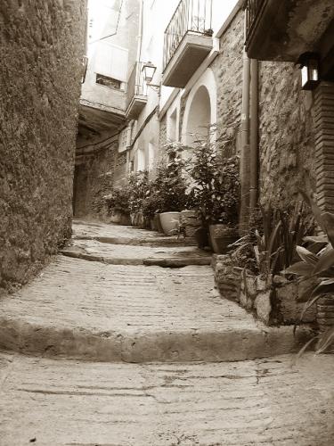 Fotografia de elga - Galeria Fotografica: VARIOS EN BLANCO Y NEGRO - Foto: 