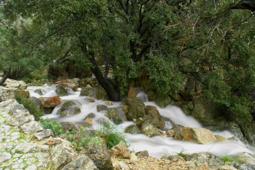 Fotografia de NAN - FOTOGRAFO - Galeria Fotografica: Torrente de Biniaraix - Foto: 