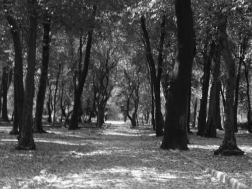 Fotografia de TAVOO - Galeria Fotografica: ROUGE ETUDE - Foto: 