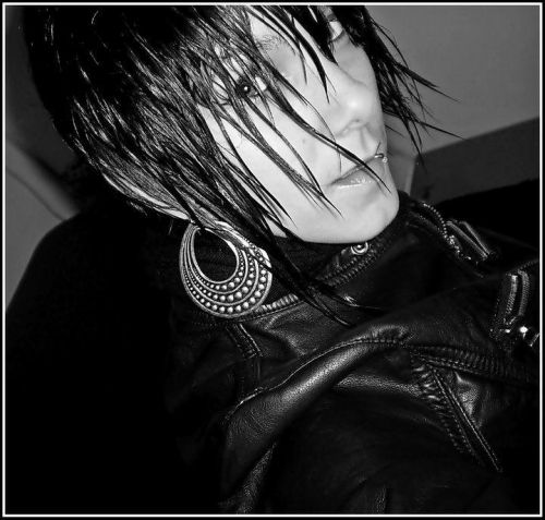 Fotografia de edelweiss - Galeria Fotografica: variadas - Foto: 