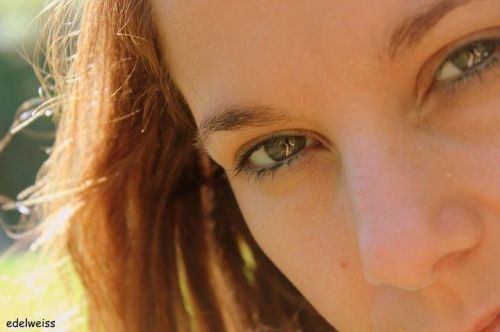 Fotografia de edelweiss - Galeria Fotografica: variadas - Foto: 