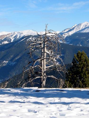 Fotografia de Plutak - Galeria Fotografica: Paisajes - Foto: ermitao