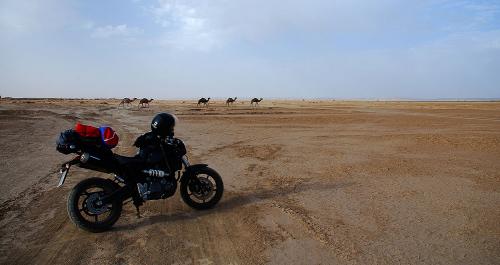 Fotografia de tmoto - Galeria Fotografica: Desierto - Foto: 		Desierto2						