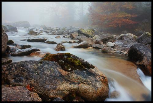 Fotografia de MILLER - Galeria Fotografica: NATURE - Foto: PONT D'ESPAGNE						