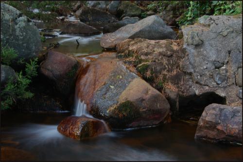 Fotografia de MILLER - Galeria Fotografica: NATURE - Foto: 								