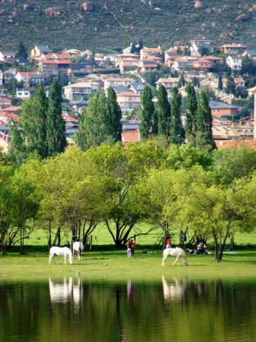 Fotografia de Plutak - Galeria Fotografica: Paisajes - Foto: caballos