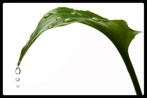 Fotografia de Alejandro da Silva Faras - Galeria Fotografica: Ultimos trabajos - Foto: 