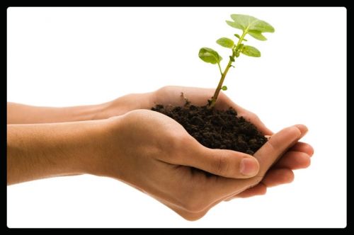 Fotografia de Alejandro da Silva Faras - Galeria Fotografica: Ultimos trabajos - Foto: 