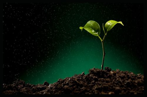 Fotografia de Alejandro da Silva Faras - Galeria Fotografica: Ultimos trabajos - Foto: 