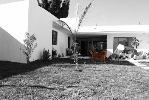 Fotografia de Nutri�logo Mendoza - Galeria Fotografica: 1 - Foto: 