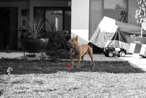 Fotografia de Nutri�logo Mendoza - Galeria Fotografica: 1 - Foto: 