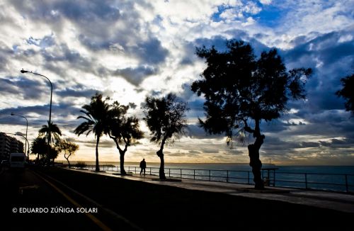 Fotografia de zunigaedu - Galeria Fotografica: Otoo en Mallorca - Foto: Solitario