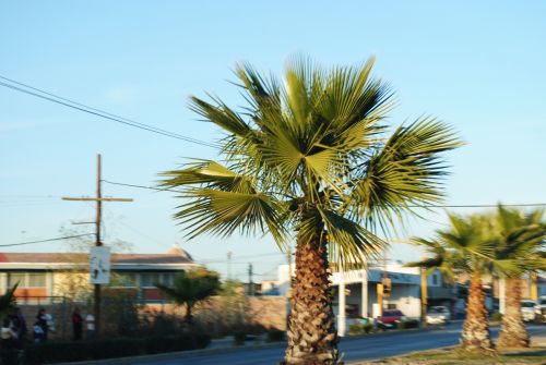 Fotografia de Nutri�logo Mendoza - Galeria Fotografica: 1 - Foto: 