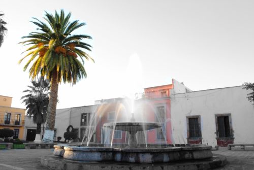 Fotografia de Nutri�logo Mendoza - Galeria Fotografica: 1 - Foto: 