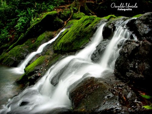 Fotografia de Osvaldo Urriola - Galeria Fotografica: Pinceladas de Panam - Foto: 