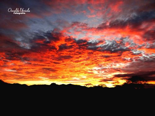 Fotografia de Osvaldo Urriola - Galeria Fotografica: Pinceladas de Panam - Foto: 