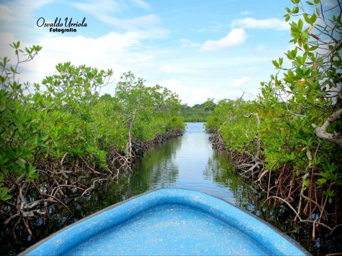 Fotografia de Osvaldo Urriola - Galeria Fotografica: Pinceladas de Panam - Foto: 