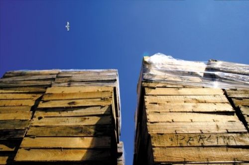 Fotografia de Jon Gesalaga - Galeria Fotografica: Varios - Foto: 