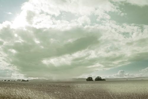 Fotografia de Jon Gesalaga - Galeria Fotografica: Varios - Foto: 