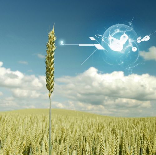 Fotografia de Jon Gesalaga - Galeria Fotografica: Publicidad - Foto: 