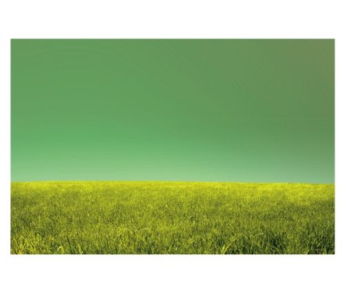 Fotografia de Jon Gesalaga - Galeria Fotografica: Corporativa - Foto: 