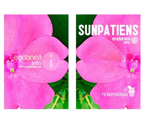 Fotografia de Jon Gesalaga - Galeria Fotografica: Corporativa - Foto: 