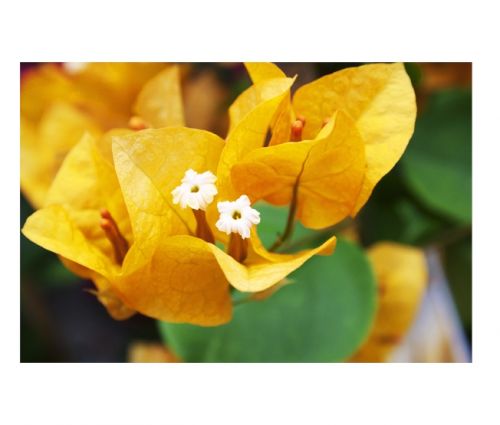 Fotografia de Jon Gesalaga - Galeria Fotografica: Corporativa - Foto: 