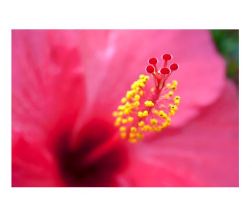 Fotografia de Jon Gesalaga - Galeria Fotografica: Corporativa - Foto: 