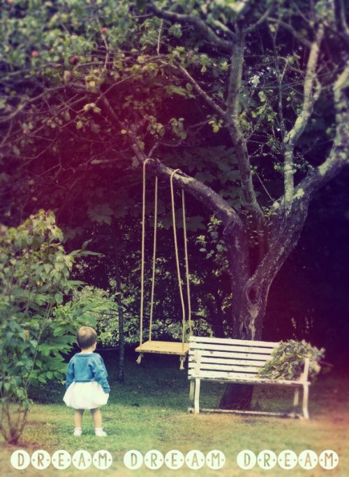 Fotografia de Oliveira Foto - Galeria Fotografica: Varias Ana y Carlos 2013 - Foto: El so�ador