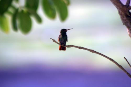 Fotografia de pupi - Galeria Fotografica: caminando... - Foto: 