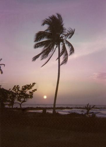 Fotografia de CRendon - Galeria Fotografica: Naturaleza - Foto: Coveas