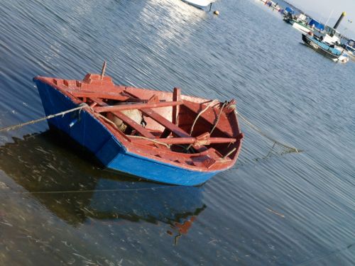 Fotografia de Eugenio Cortezo Albert - Galeria Fotografica: Aldan - Foto: 