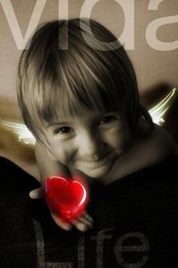 Fotografia de Pedro Morales - Galeria Fotografica: Fotografa creativa - Foto: vida