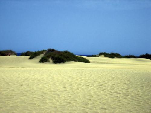 Fotografia de Jose - Galeria Fotografica: Las palmas. - Foto: Dunas.