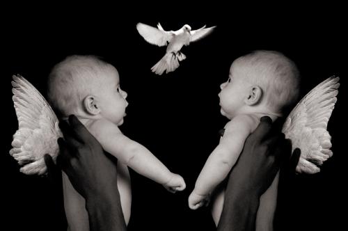 Fotografia de Pedro Morales - Galeria Fotografica: Fotografa creativa - Foto: 