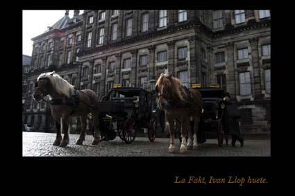 Fotografia de Lafakt. - Galeria Fotografica: viajes - Foto: 