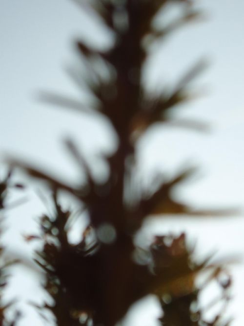 Fotografia de sophie diais - Galeria Fotografica: luces de noche  - Foto: 