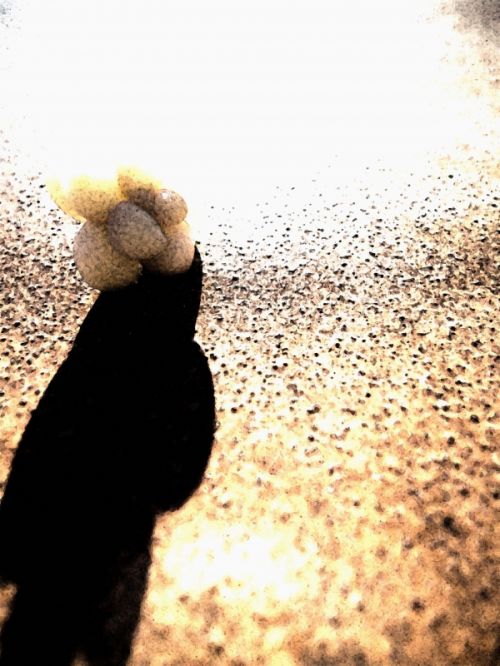 Fotografia de sophie diais - Galeria Fotografica: luces de noche  - Foto: 