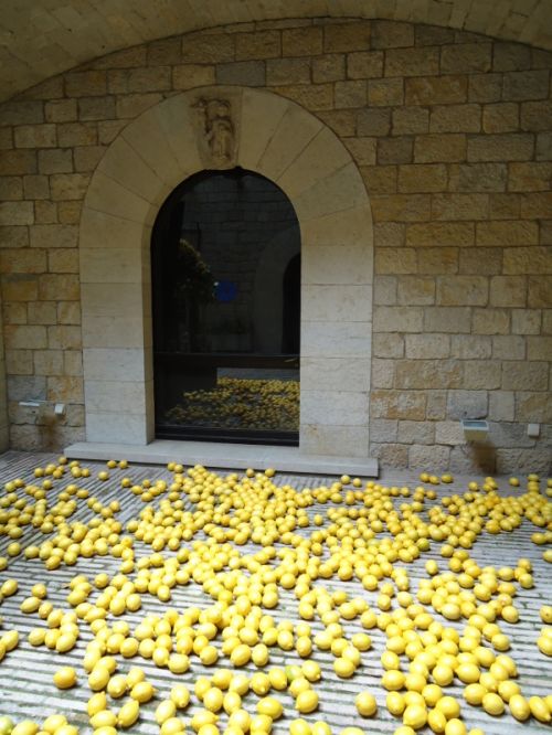 Fotografia de sophie diais - Galeria Fotografica: luces de noche  - Foto: 