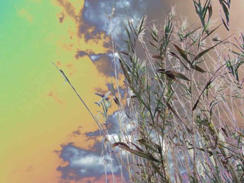 Fotografia de sophie diais - Galeria Fotografica: luces de noche  - Foto: 